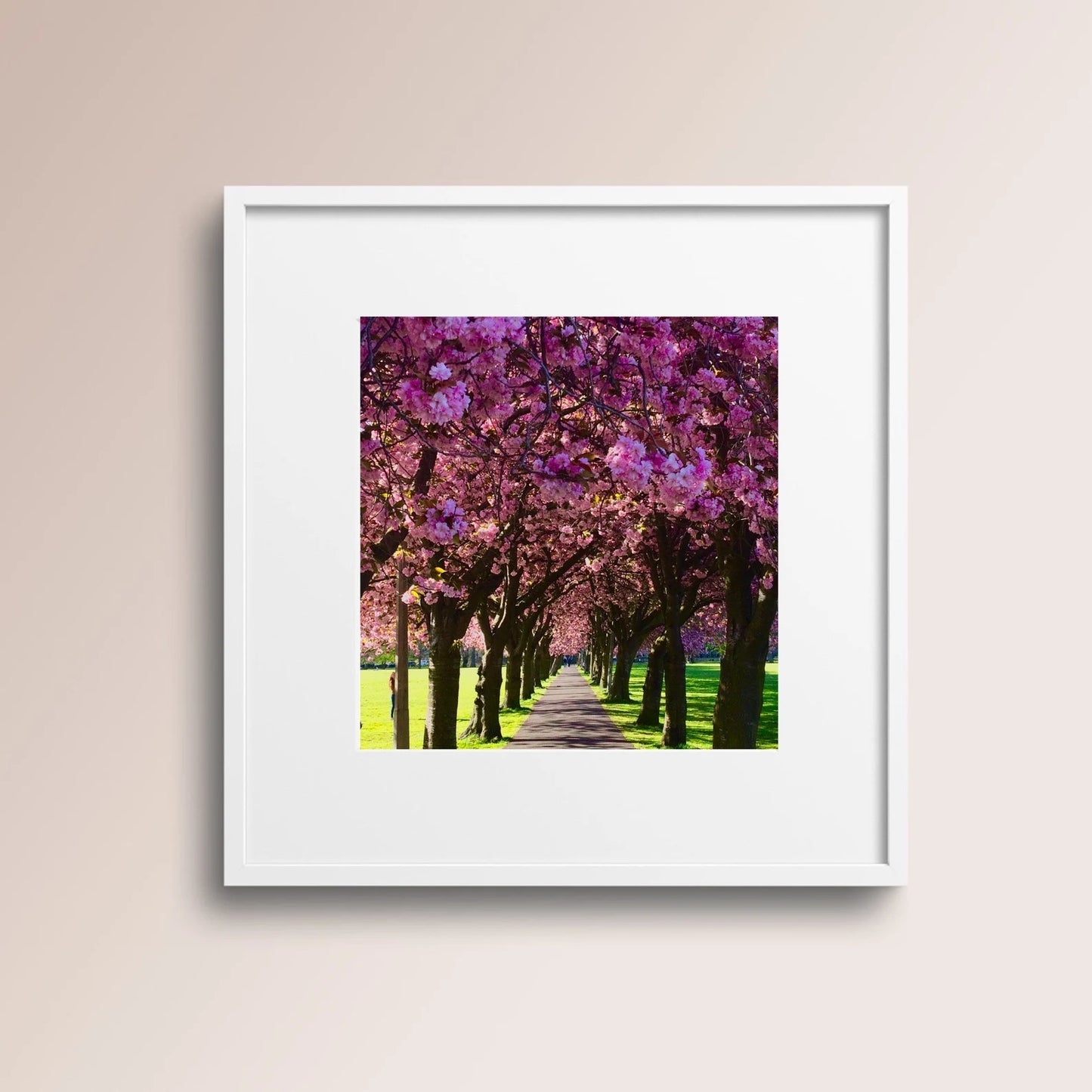 The Meadows, Spring, Edinburgh